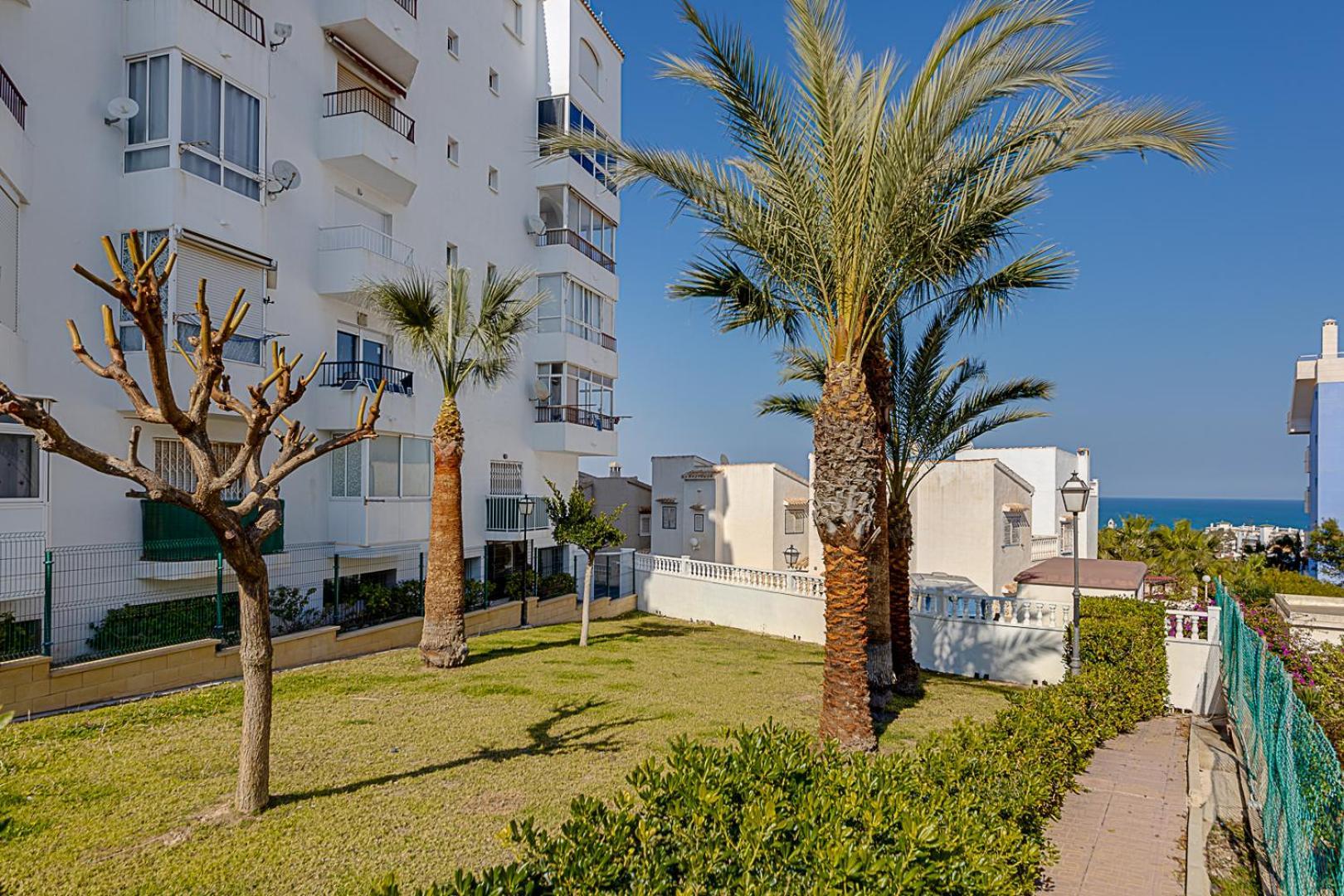Estudio Jardin Del Mar Торевьиа Экстерьер фото